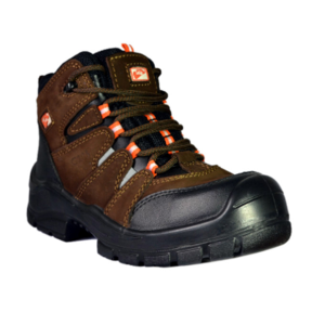 bota saga